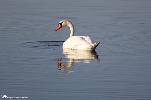 zum Vergrößern bitte anklicken!