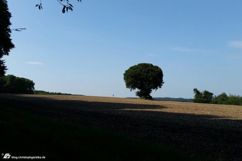 zum Vergrößern bitte anklicken!