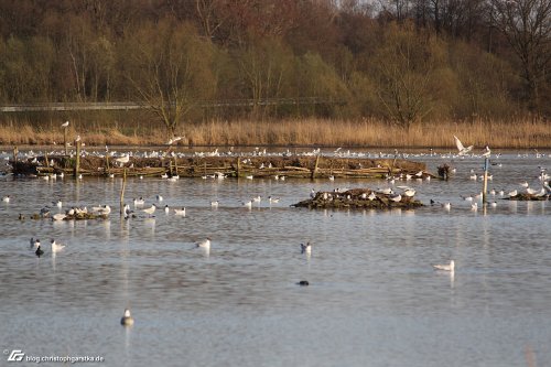 zum Vergrößern bitte anklicken!