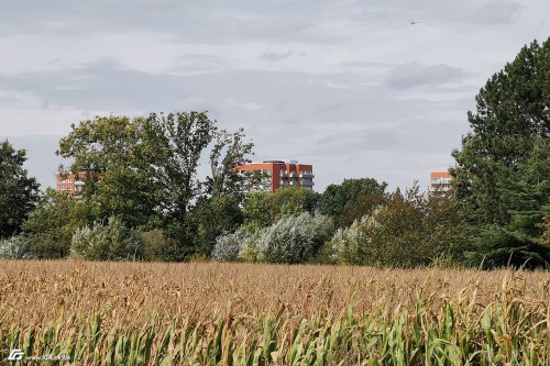 zum Vergrößern bitte anklicken!