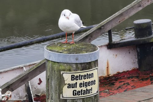 zum Vergrößern bitte anklicken!