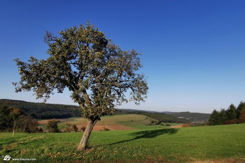 zum Vergrößern bitte anklicken!