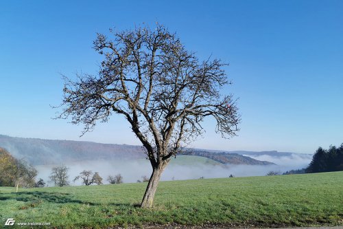 zum Vergrößern bitte anklicken!