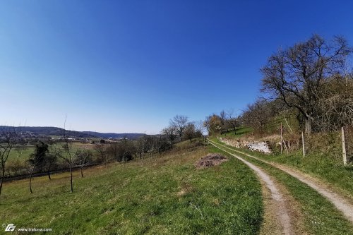 zum Vergrößern bitte anklicken!