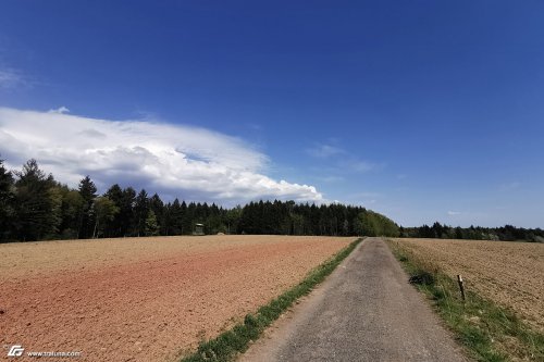 zum Vergrößern bitte anklicken!