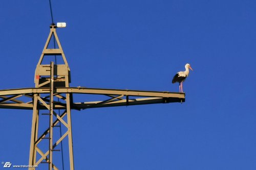 zum Vergrößern bitte anklicken!