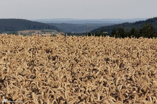 zum Vergrößern bitte anklicken!