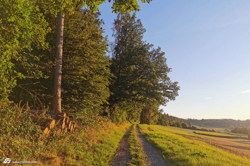 zum Vergrößern bitte anklicken!