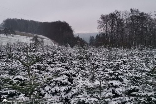 zum Vergrößern bitte anklicken!