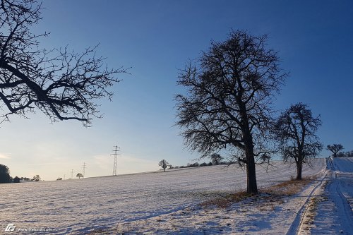 zum Vergrößern bitte anklicken!