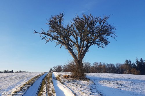 zum Vergrößern bitte anklicken!