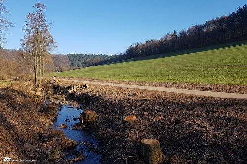 zum Vergrößern bitte anklicken!