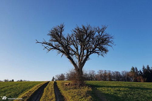 zum Vergrößern bitte anklicken!