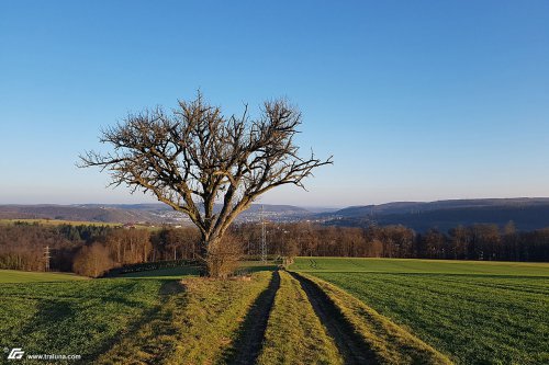 zum Vergrößern bitte anklicken!