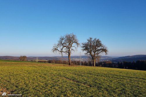 zum Vergrößern bitte anklicken!