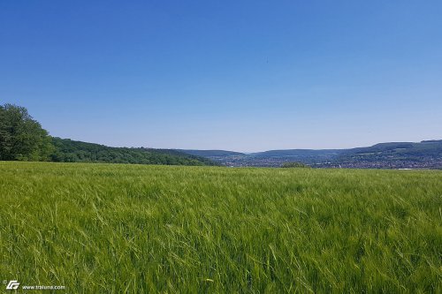 zum Vergrößern bitte anklicken!