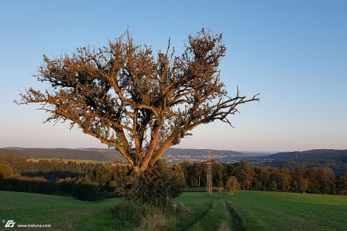 zum Vergrößern bitte anklicken!