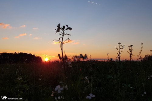 zum Vergrößern bitte anklicken!