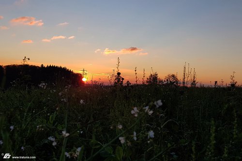 zum Vergrößern bitte anklicken!