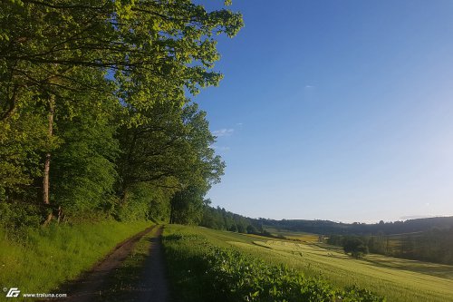 zum Vergrößern bitte anklicken!