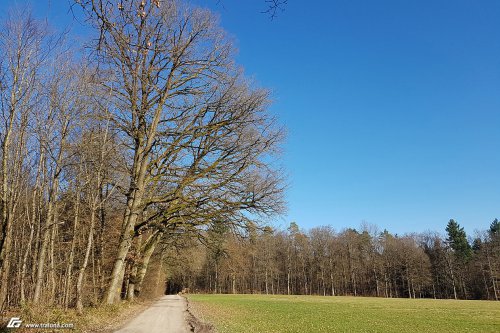 zum Vergrößern bitte anklicken!