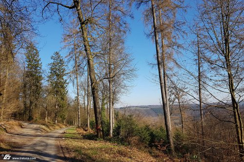 zum Vergrößern bitte anklicken!