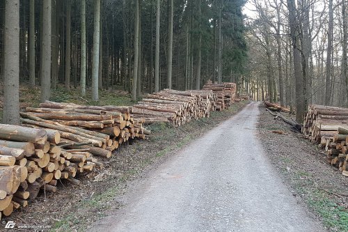 zum Vergrößern bitte anklicken!