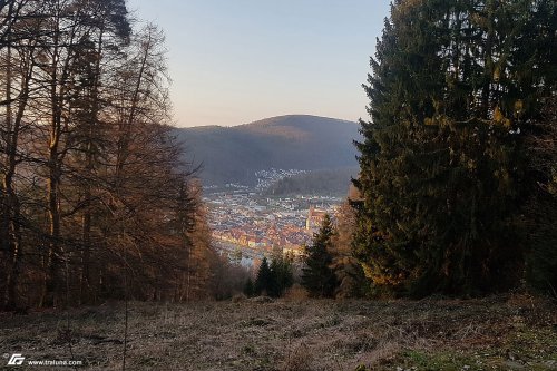 zum Vergrößern bitte anklicken!