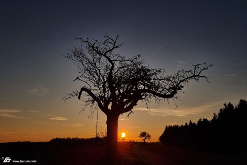 zum Vergrößern bitte anklicken!