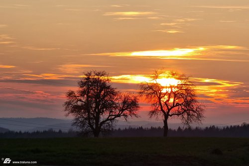 zum Vergrößern bitte anklicken!