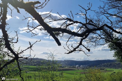 zum Vergrößern bitte anklicken!