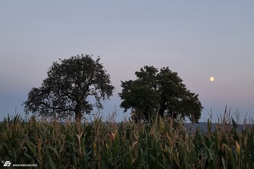 zum Vergrößern bitte anklicken!