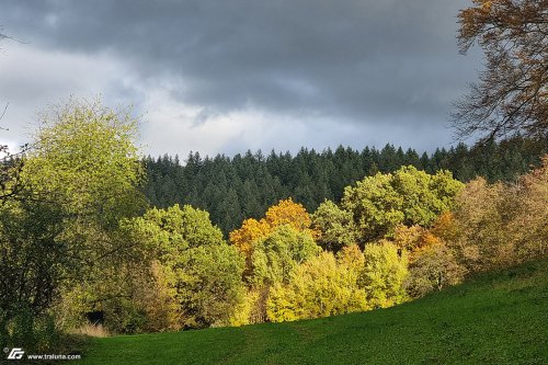 zum Vergrößern bitte anklicken!