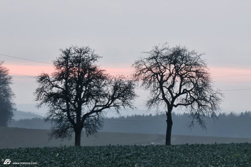 zum Vergrößern bitte anklicken!